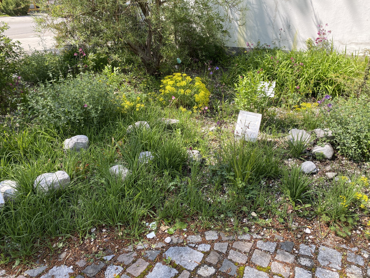 Garten der Bibel Evang.Luth. Friedenskirche EichenauAlling