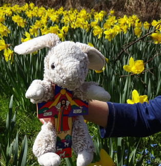 Osterhase im Feld