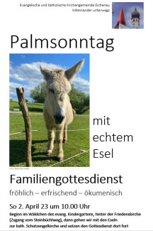 Plamsonntag