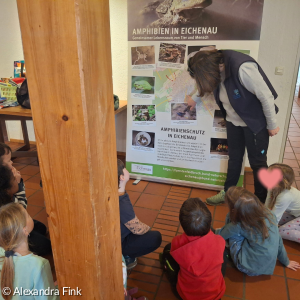 Amphibienausstellung