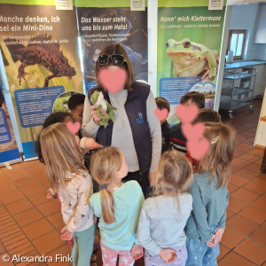 Amphibienausstellung