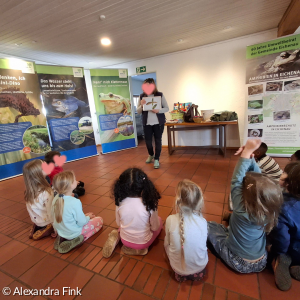 Amphibienausstellung