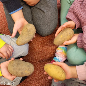 So präsentieren sich also Kartoffeln – jede ist einzigartig, einige sind groß, andere klein, manche schmal und wieder andere dicker.